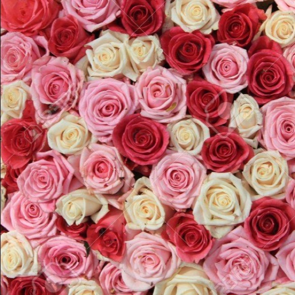 Welcome - Picture 3 of 16